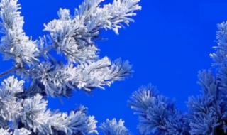 吉林大范围雾凇景观